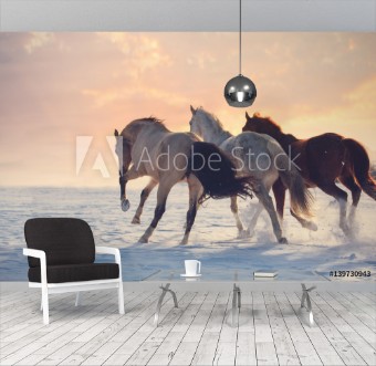 Bild på Three horses ran on snow to sanset Buckskin white and red horses galloping
